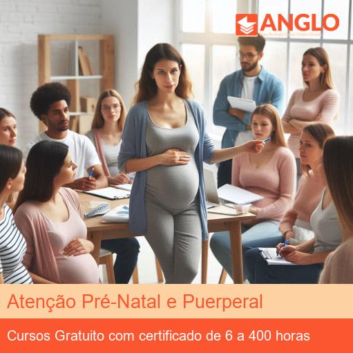 Atenção Pré-Natal e Puerperal